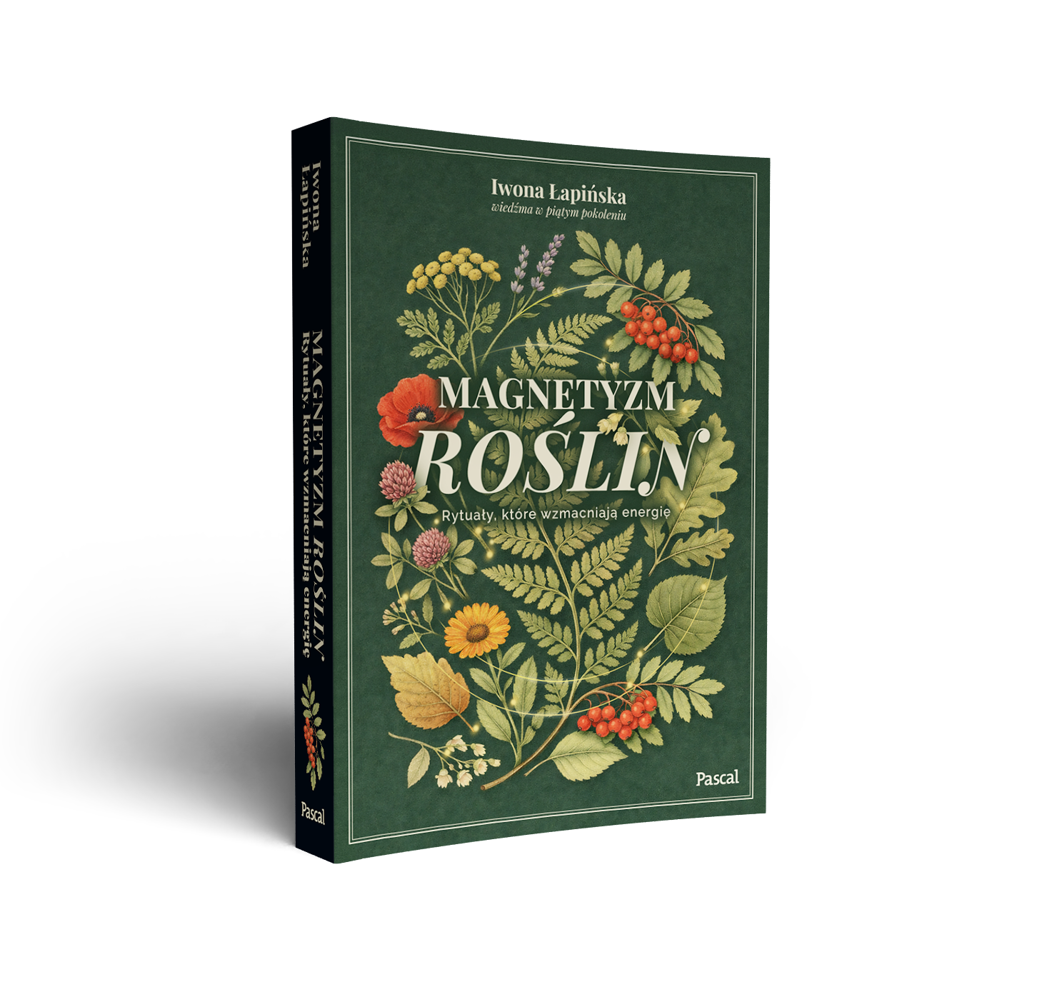 magnetyzm_roslin_01_v02.png